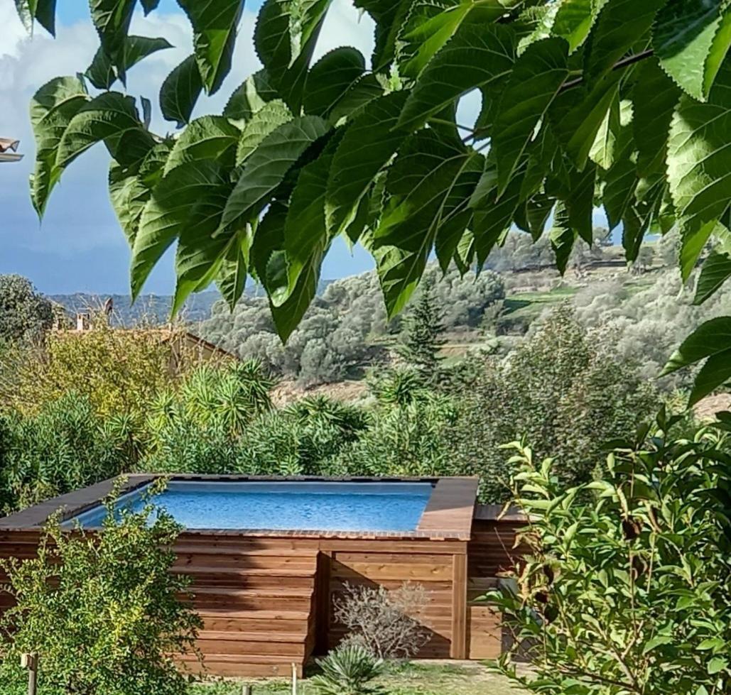 L'Alivu Villa Ajaccio  Bagian luar foto